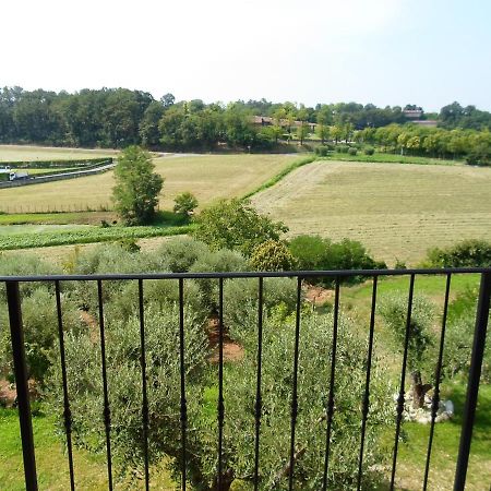 Casa Ines Apartment Lonato Luaran gambar